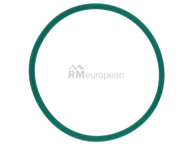 VW-Audi Throttle Housing Gasket Ajusa 06E145272C