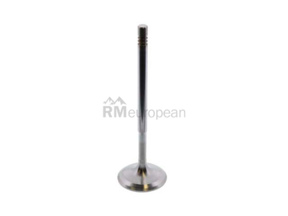 Mercedes Intake Valve TRW 2710531001