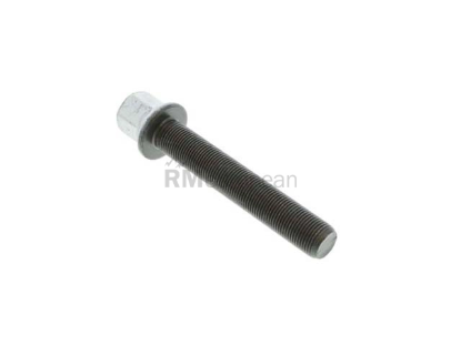 BMW Crankshaft Pulley Bolt Genuine BMW 11217614270