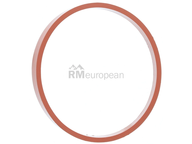 BMW Intake Gasket Victor Reinz 11618513295