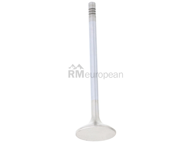 Mercedes Exhaust Valve TRW 2720501627