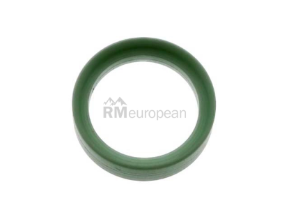 Jaguar Fuel Injector Seal Eurospare NCC3016AA