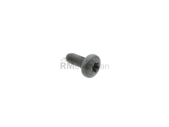 VW-Audi Bolt Genuine VW/Audi N91096701