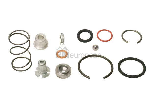 Porsche Rebuild Kit O.E.M. 91110590101