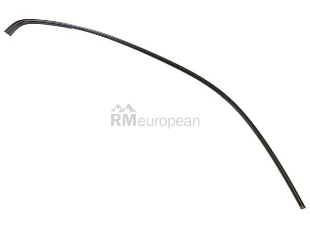 BMW Roof Ledge Moulding Genuine BMW 51137117244