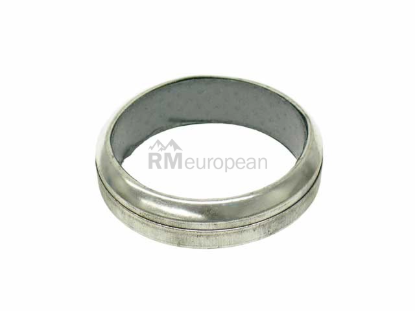Exhaust Seal Ring Fischer & Plath 101045