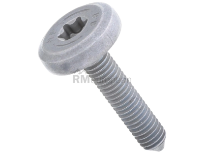 Transmission Pan Bolt ZF 0736300795