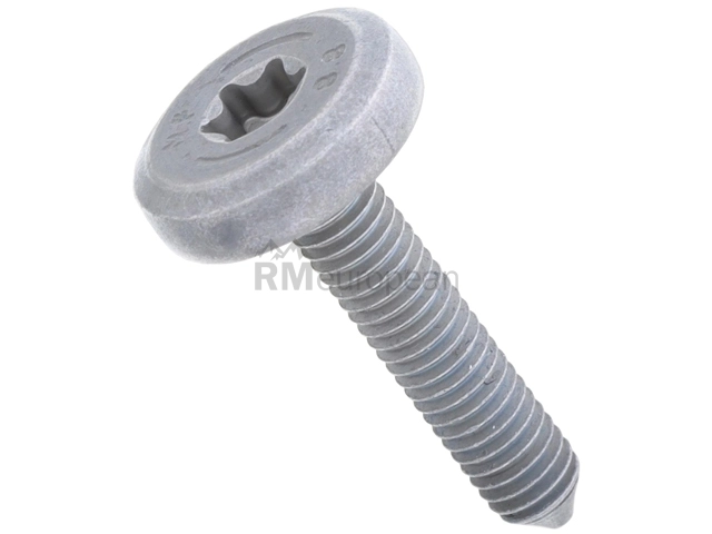 Transmission Pan Bolt ZF 0736300795