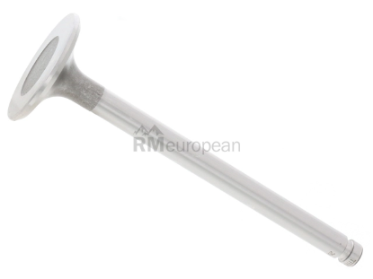 Mercedes Intake Valve TRW 1800530401
