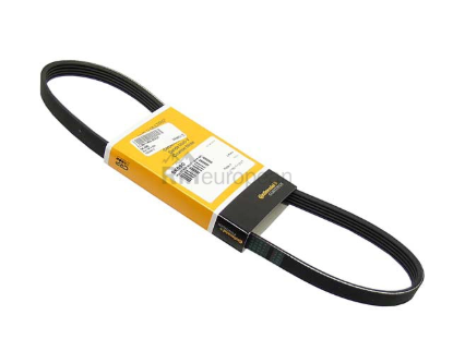 Belt 5PK X 890 Continental 5K890