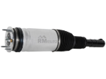 Land Rover Air Suspension Strut BWI LR087096