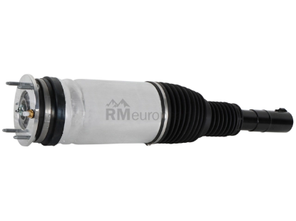 Land Rover Air Suspension Strut BWI LR087096