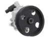 Mercedes Power Steering Pump AAE 0044669301