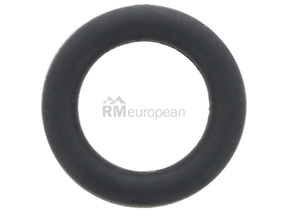 Mercedes O-Ring Victor Reinz 0299972445