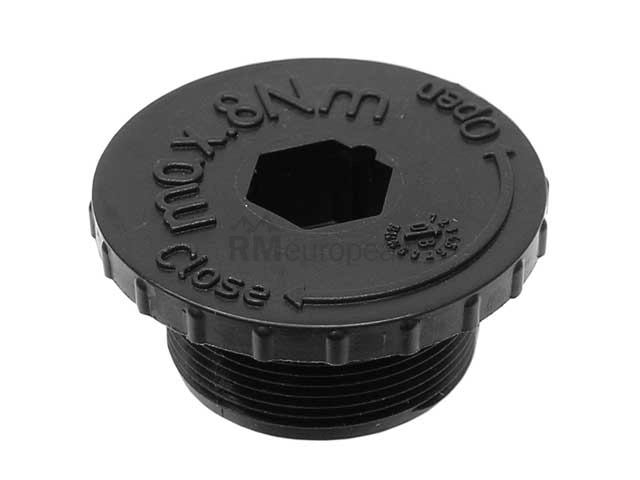 BMW Transmission Drain Plug ZF 24007588766