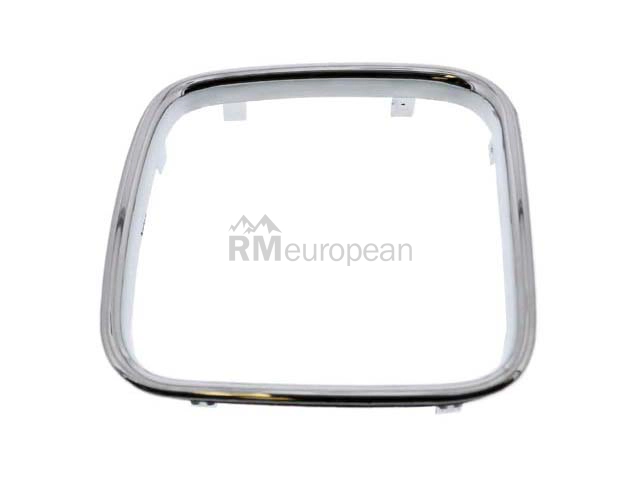 BMW Grille Trim BBR Automotive 51131973897