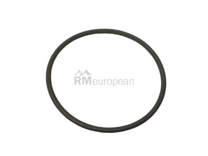 Porsche O-Ring German 0PB115499A