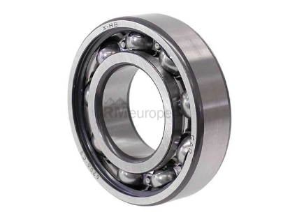 Wheel Bearing Schaeffler 113501283