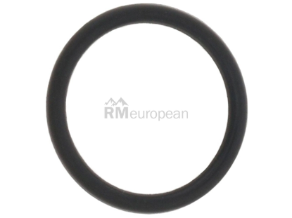 Mercedes O-Ring Genuine Mercedes 0169979945
