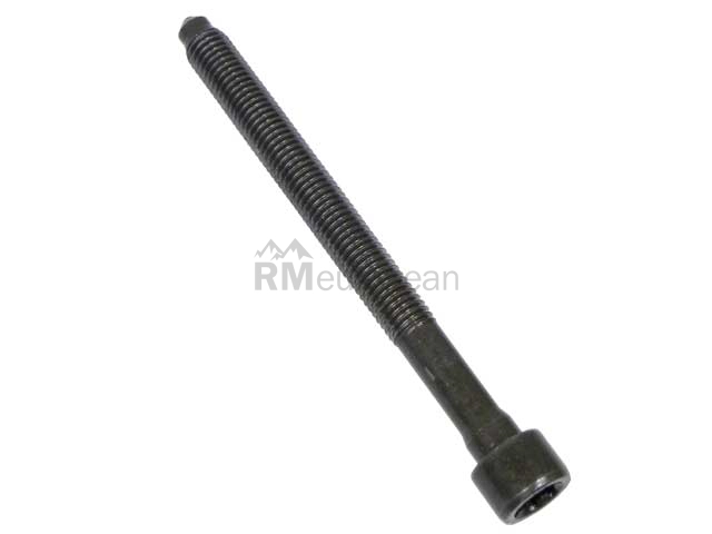 VW-Audi Cylinder Head Bolt Victor Reinz 06D103385D