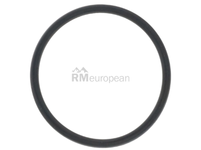 Mercedes Thermostat O-Ring Genuine Mercedes 0009976109