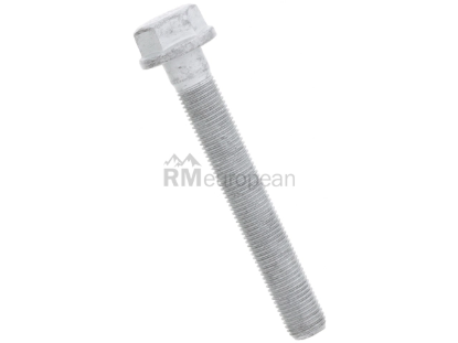 BMW Bolt Genuine BMW 31106769434