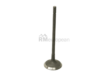 Jaguar Exhaust Valve Eurospare NCA2532AA