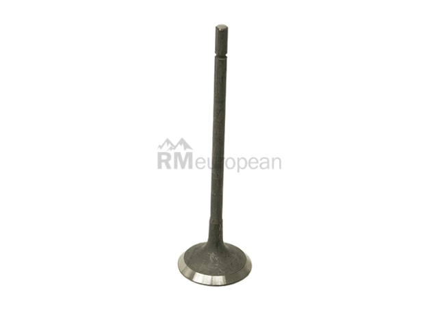 Jaguar Exhaust Valve Eurospare NCA2532AA