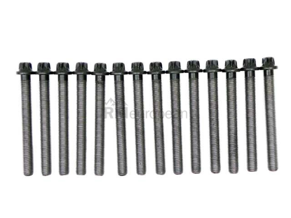 BMW Cylinder Head Bolt Set Victor Reinz 11127831862