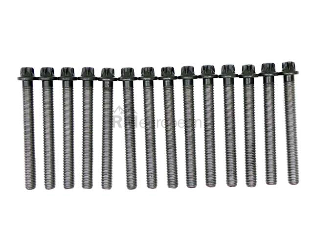 BMW Cylinder Head Bolt Set Victor Reinz 11127831862
