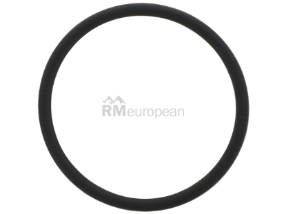 VW-Audi Turbo Drain O-Ring Genuine VW/Audi N90978801