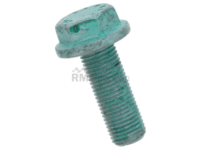 Mercedes Brake Caliper Bolt Genuine Mercedes 9069900401