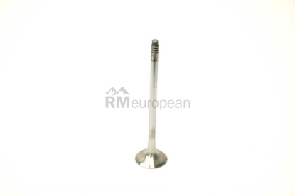 BMW Exhaust Valve TRW 11347573840