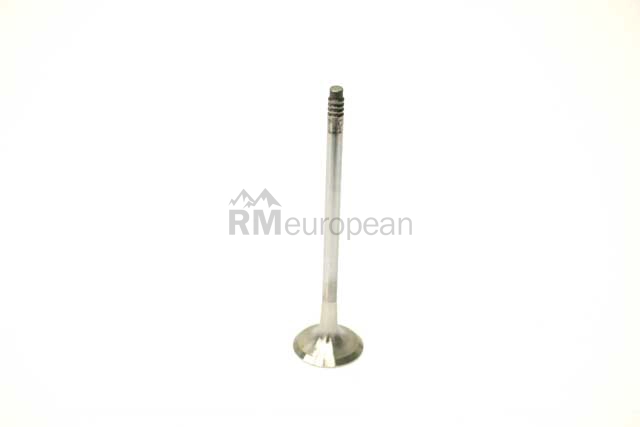 BMW Exhaust Valve TRW 11347573840