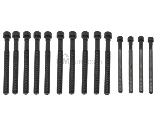 BMW Cylinder Head Bolt Set Victor Reinz 11127574303