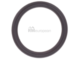 Mercedes O-Ring Genuine Mercedes 0189979045