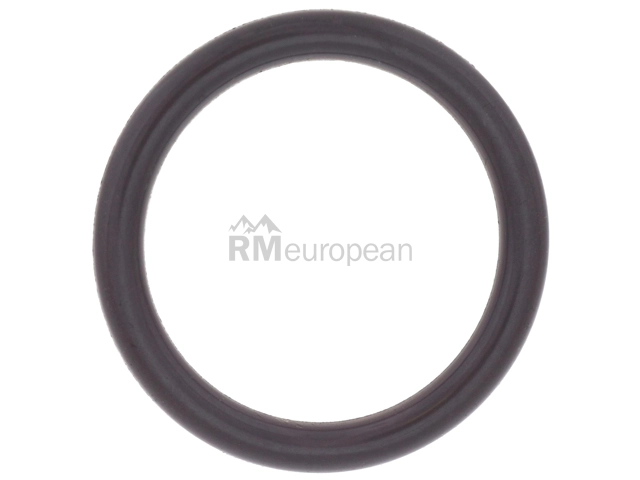 Mercedes O-Ring Genuine Mercedes 0189979045