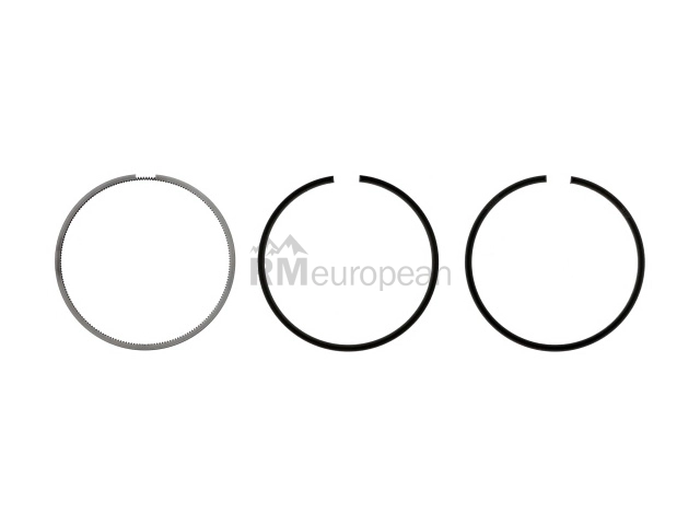 Piston Ring Set Mahle 50399N0