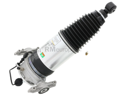 Porsche Air Suspension Strut Arnott Industries AS3167