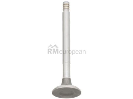 Exhaust Valve                                                               for Volkswagen Super Beetle