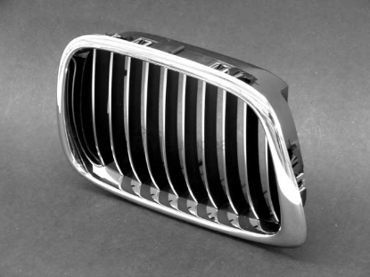 BMW Grille Genuine BMW 51132497262