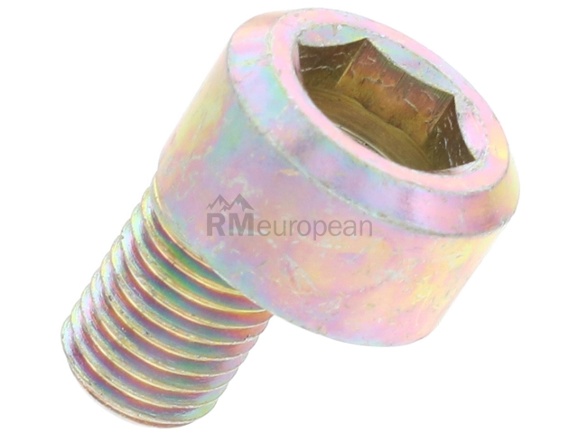 Porsche Eccentric Bolt Genuine Porsche 90133313305