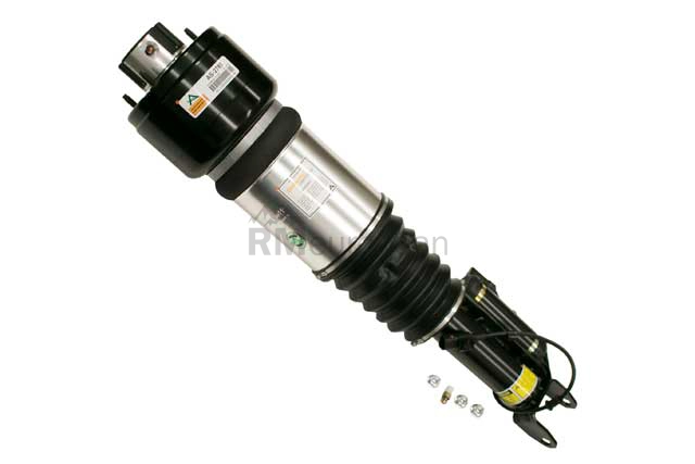 Mercedes Shock Absorber Arnott Industries 2113206013