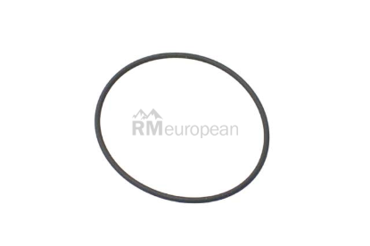 BMW Actuator O-Ring VDO 07119903596