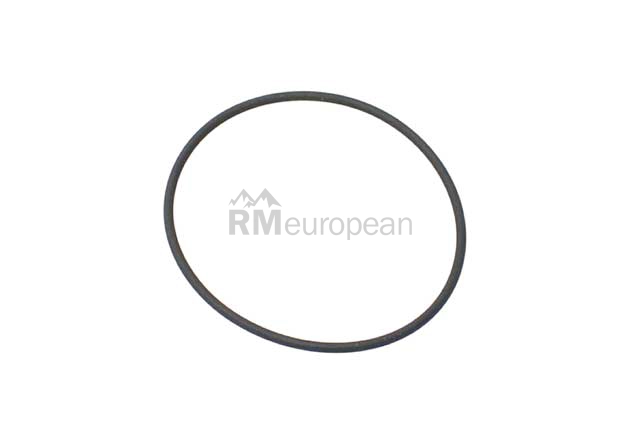 BMW Actuator O-Ring VDO 07119903596