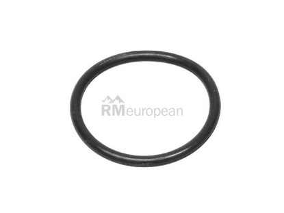 Mercedes Transmission O-Ring Genuine Mercedes 0169973648