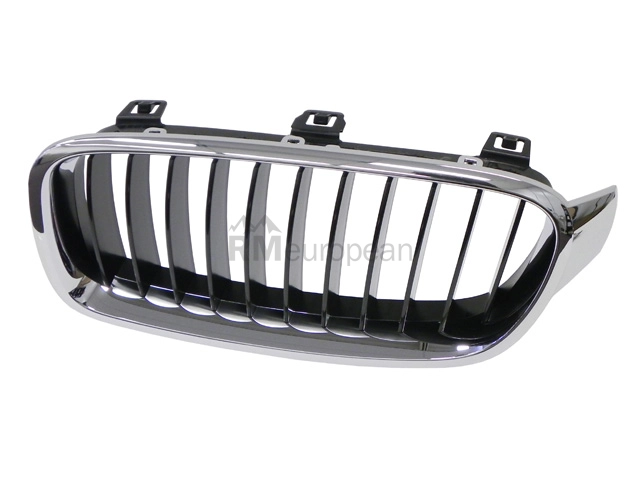 BMW Grille Genuine BMW 51137255411