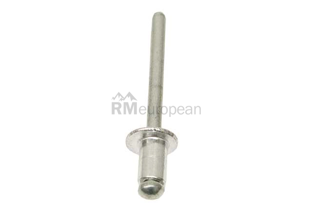 Mercedes Rivet URO Parts 0039902497