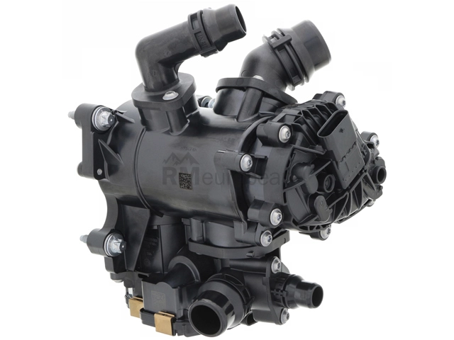 Thermostat Assembly INA 11538631943