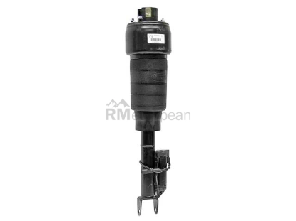 Shock Absorber Arnott Industries AS2245